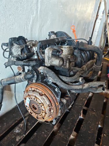 Imagen 2
